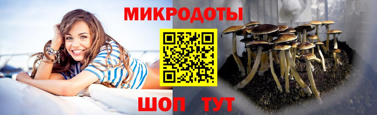 Галлюциногенные грибы Magic Shrooms Орск